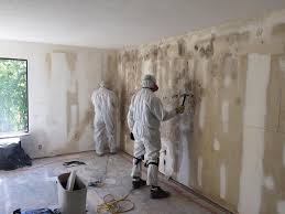 Mold Odor Removal Services in Ashtabula, OH